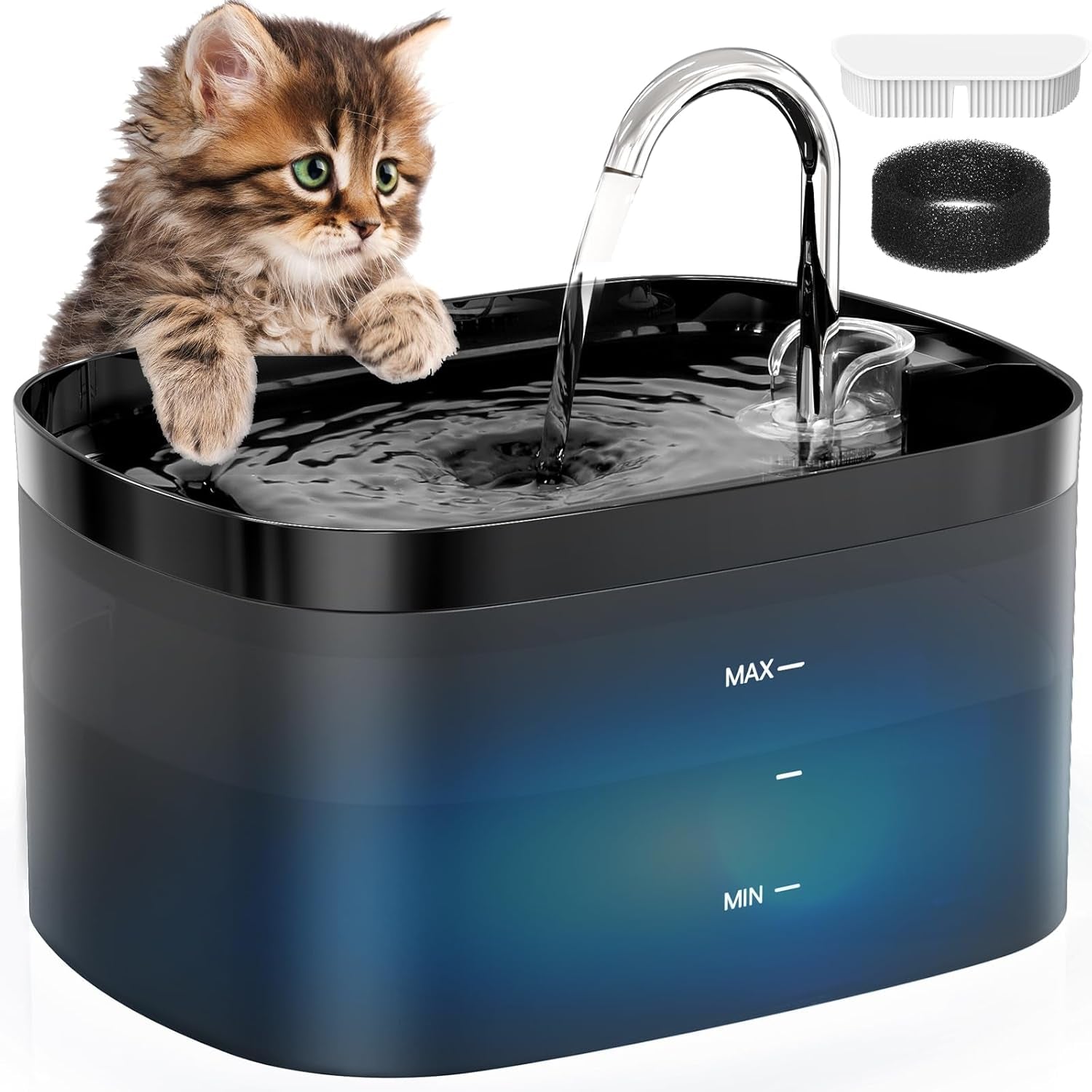 Keep Your Cat Hydrated and Happy