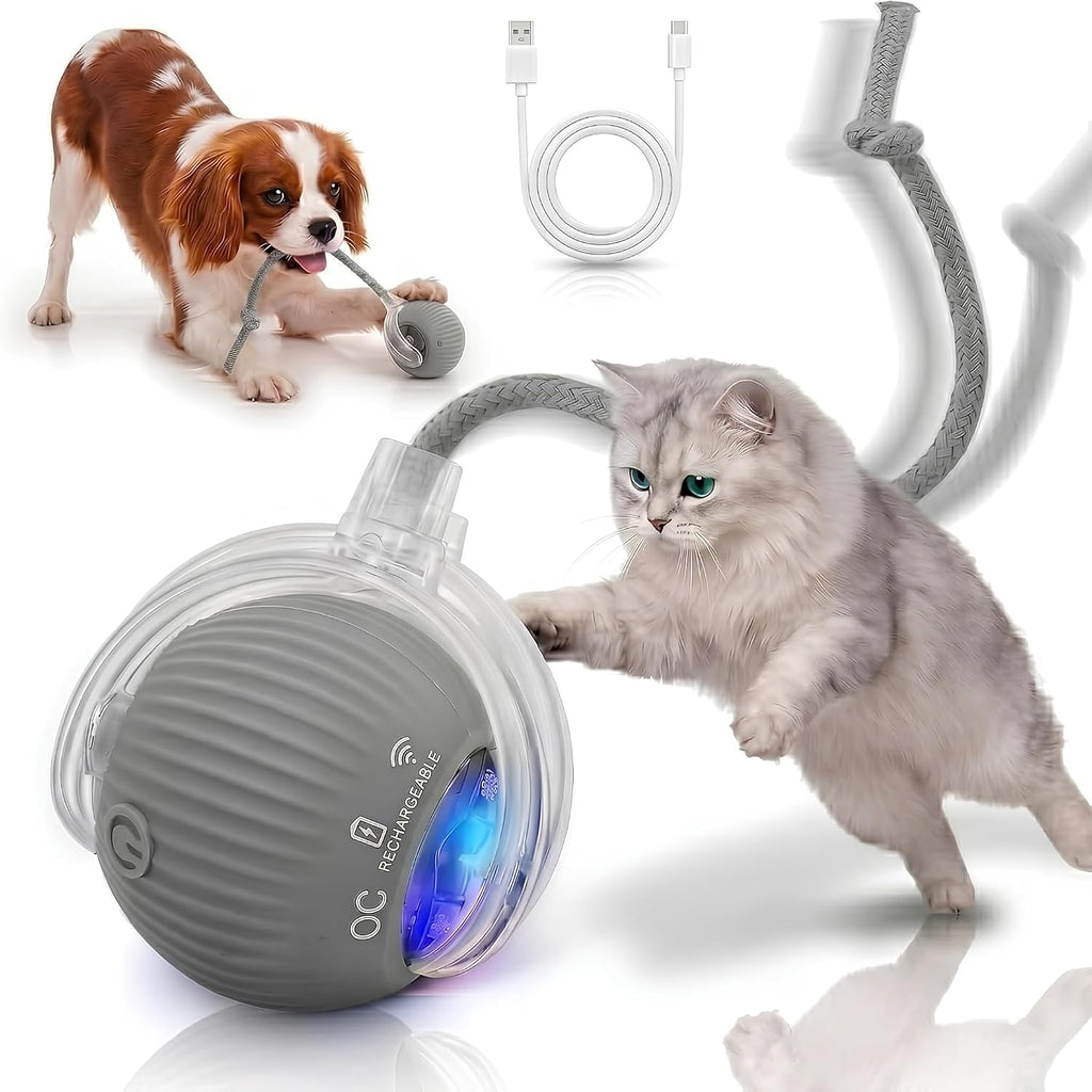 Smart Ball 2.0 - Automatic Cat Toy & Interactive Dog Toys for Small Dogs - Moving Cat Toy Ball for Indoor Cats - Motion Activated, Light Up, USB-C Rechargeable Pet Toy, 2 Speed Modes [Gray]